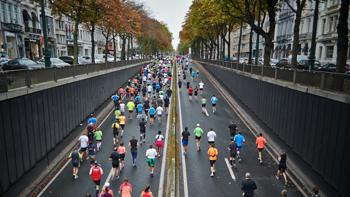 Runners filling a tree-lined city road during a race